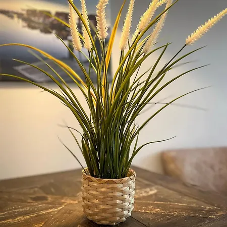 Lejlighed Baltischer Hof 05 Boltenhagen (Ostseebad)